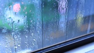 対馬DIY記録②~梅雨時期の空き家の状態に関して~