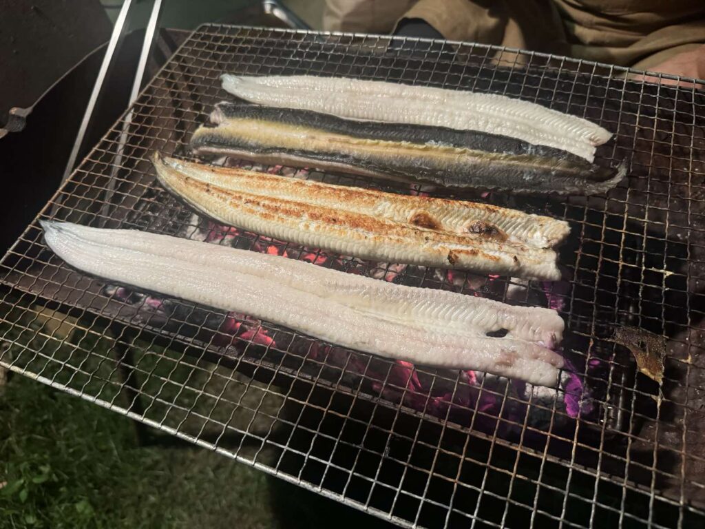 対馬で採れた天然ウナギの白焼き（蒲焼になる前）