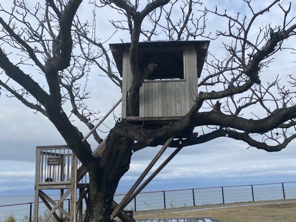 ツリーハウスのある風景