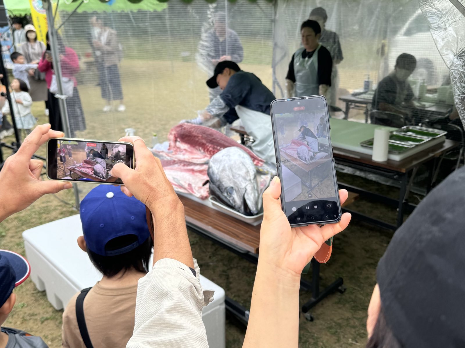 対馬のイベントと言えば「マグロの解体ショー」