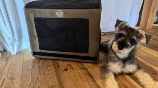 【レビュー】ミニチュアシュナウザーにおすすめ！マンダリンブラザーズの犬用キャリーバッグを使ってみた